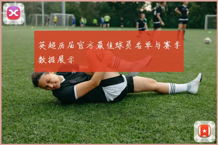 英超历届官方最佳球员名单与赛季数据展示