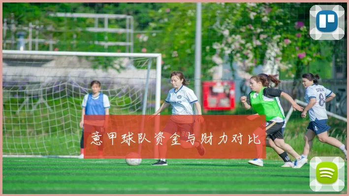 意甲球队资金与财力对比