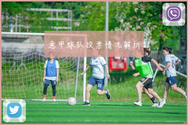 意甲球队投票情况解析