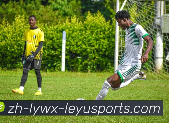 乐鱼体育服务体系